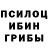 Галлюциногенные грибы прущие грибы Adok Zhumabaev