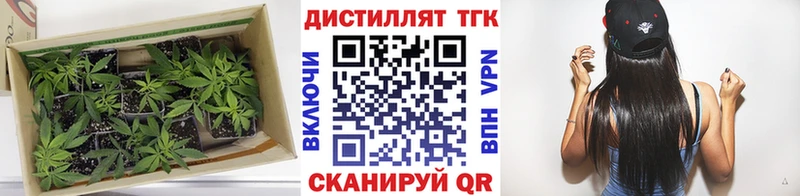 ТГК вейп  ссылка на мегу ТОР  Иланский 