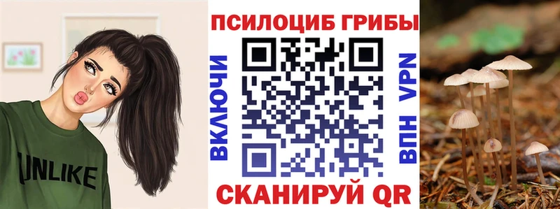 Псилоцибиновые грибы Cubensis  ОМГ ОМГ ссылки  Иланский 