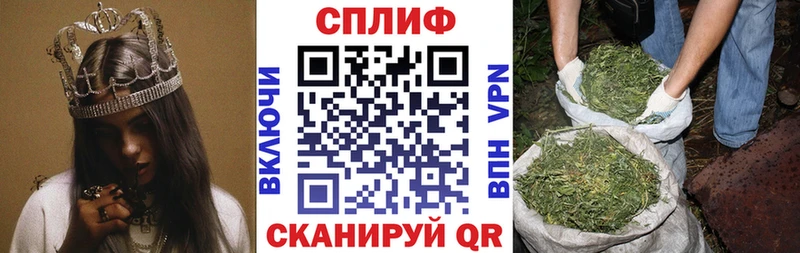где купить Иланский Конопля семена